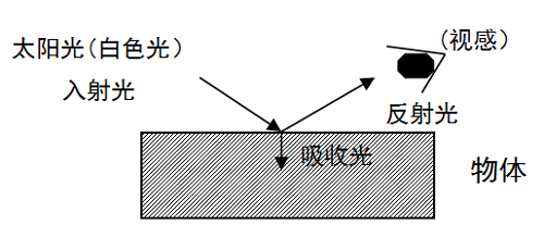 荧光增白剂之光的反射